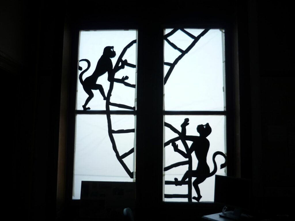 silhouettes - ombres - installation - giulia - palermo